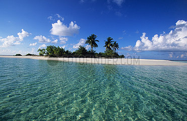 MALDIVES - Mal? Atoll