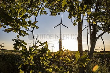 Windkraftanlagen im Naturpark Barnim - Brandenburg