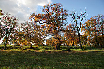 Der Drehberg im Herbst
