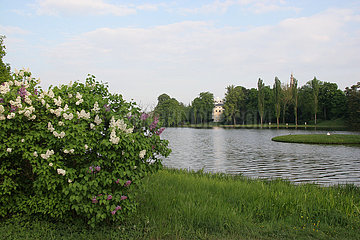 Fruehling im Woerlitzer Park