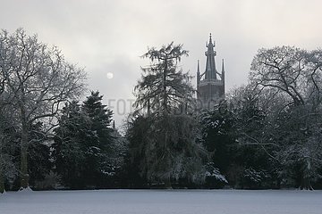Winter im Woerlitzer Park