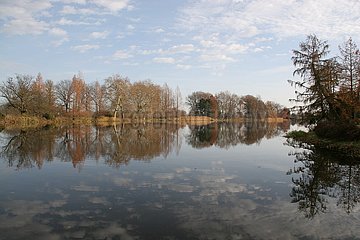 Herbst im Woerlitzer Park