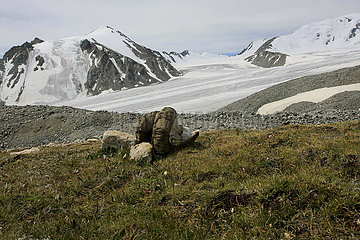 Potanin-Gletscher in der Mongolei