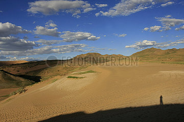 Duene Bor Khar Els in der Mongolei