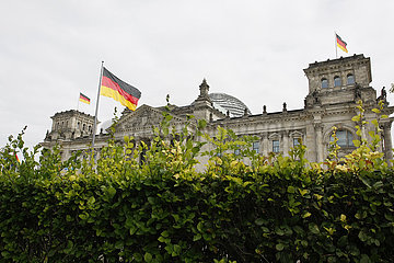 Ungeschnittene Hecke vor dem Reichstag