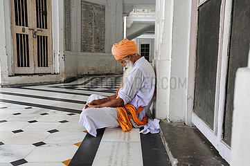 Amritsar  Indien  Glaeubiger Sikh am Heiligtum Goldener Tempel
