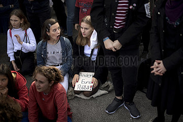 FridaysForFuture Climate-Protest