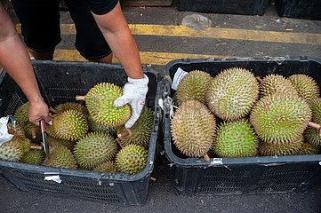 Singapur  Republik Singapur  Kisten mit frischen Durians in Chinatown