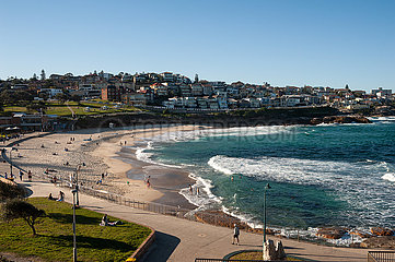 Sydney  Australien  Erhoehter Blick auf den Strand von Bronte Beach