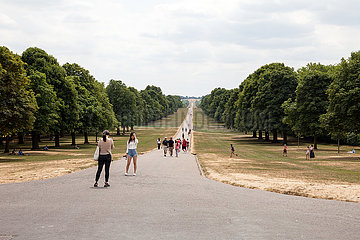 The Long Walk am Schloss Windsor