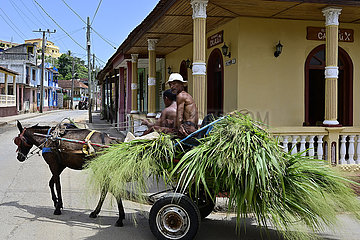 Kuba  Baracoa-Kubaner unterwegs auf einem Eselskarren