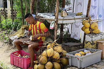 Kuba  Iznaga - Verkaufsstand mit Kokusfruechten