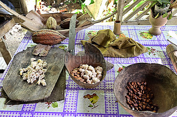 Kuba  Baracoa-Kakaoverarbeitung auf einer Kakaoplantage