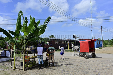 Kuba  Iznaga - Tal der Zuckerfabriken
