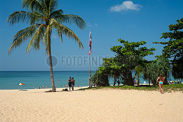 Phuket  Thailand  Urlauber unter Palme am Strand von Karon Beach