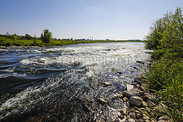 Wesel  Niederrhein  Deutschland  renaturiertes Flussauengebiet an der Lippemuendung