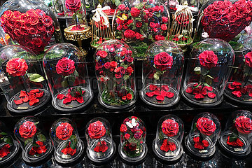Dubai  Vereinigte Arabische Emirate  konservierte Rosen unter Glas