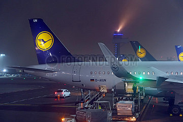 Frankfurt am Main  Deutschland  Flugzeuge der Lufthansa bei Nacht am Frankfurt Airport