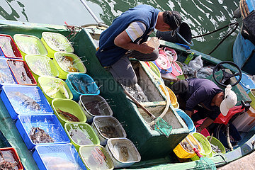 Hong Kong  China  Fischer sitzen im Fischerdorf Lei Yue Mun in einem Boot
