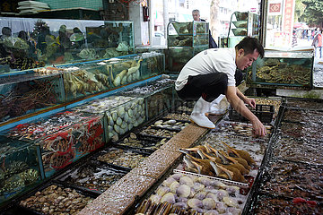 Hong Kong  China  Haendler auf dem Fischmarkt in Lei Yue Mun