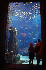 Dubai  Vereinigte Arabische Emirate  Menschen im Dubai Aquarium der Mall of Dubai