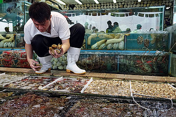 Hong Kong  China  Haendler auf dem Fischmarkt in Lei Yue Mun