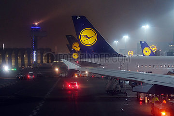 Frankfurt am Main  Deutschland  Flugzeuge der Lufthansa bei Nacht am Frankfurt Airport