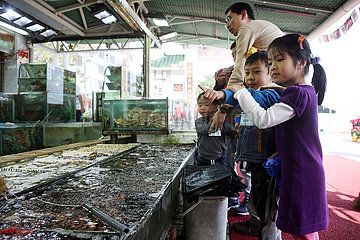 Hong Kong  China  Vater kauft mit seinen Kindern auf dem Fischmarkt in Lei Yue Mun ein