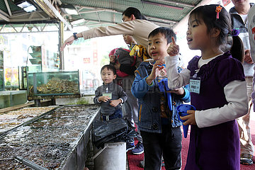 Hong Kong  China  Vater kauft mit seinen Kindern auf dem Fischmarkt in Lei Yue Mun ein