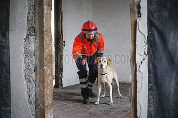 Rettungshunde-Ausbildung  Herne  Nordrhein-Westfalen  Deutschland