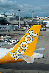 Singapur  Republik Singapur  Passagierflugzeug der Scoot Airlines auf dem Flughafen Changi