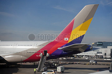 Frankfurt am Main  Deutschland  Seitenleitwerk eines A380 der Asiana Airlines am Frankfurt Airport