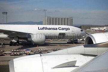 Frankfurt am Main  Deutschland  McDonnell Douglas MD-11 der Lufthansa Cargo am Frankfurt Airport