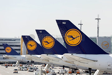 Frankfurt am Main  Deutschland  Seitenleitwerke von Flugzeugen der Lufthansa