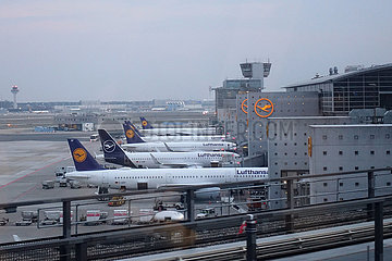 Frankfurt am Main  Deutschland  Flugzeuge der Lufthansa am Frankfurt Airport