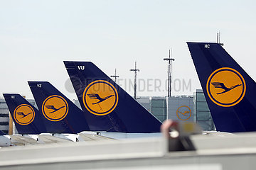 Frankfurt am Main  Deutschland  Seitenleitwerke von Flugzeugen der Lufthansa