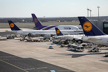 Frankfurt am Main  Deutschland  Flugzeuge am Frankfurt Airport