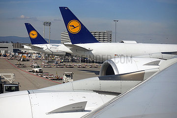 Frankfurt am Main  Deutschland  Flugzeuge der Lufthansa am Frankfurt Airport