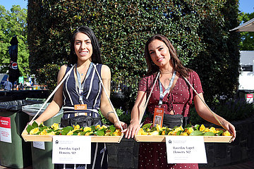 Melbourne  Women at the entrance selling yellow roses. Each major race day over the Melbourne Cup Carnival has a dedicated flower. The Melbourne Cup Day flower is the yellow rose