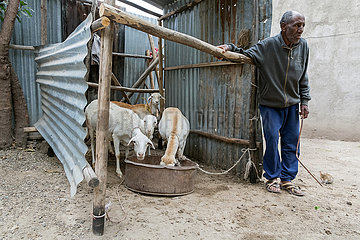 Adama  Oromiyaa  Aethiopien - Ziegenhaltung  Mikrokredit
