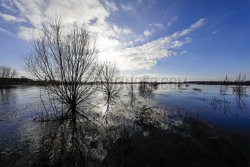 Hochwasser an der Lippemuendung  Wesel  Nordrhein-Westfalen  Niederrhein  Deutschland