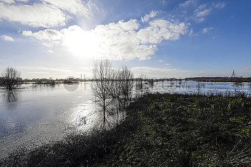 Hochwasser an der Lippemuendung  Wesel  Nordrhein-Westfalen  Niederrhein  Deutschland