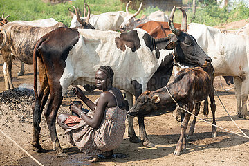 Belinkum  Gambela  Aethiopien - Traditionelle Viehzuechter  Nuer