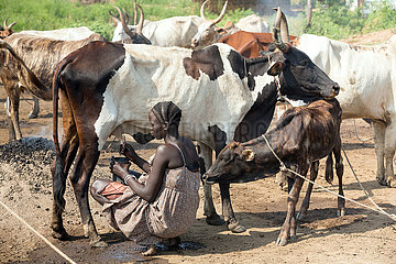 Belinkum  Gambela  Aethiopien - Traditionelle Viehzuechter  Nuer