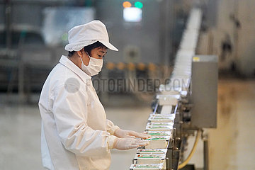 CHINA-HEILONGJIANG-HARBIN-TOFU Produktion (CN)