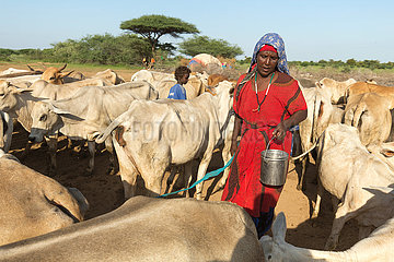 Burferedo  Somali Region  Aethiopien - Pastoralismus  Frau melkt eine Kuh