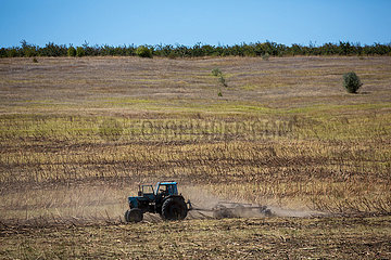 Republik Moldau  Aluta - Landwirt pfluegt ein trockenes Feld mit Traktor im Sueden des Lands