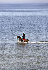 Dierhagen  junge Frau reitet auf ihrem Pferd in der Ostsee