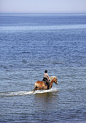 Dierhagen  Frau reitet auf ihrem Haflinger in der Ostsee