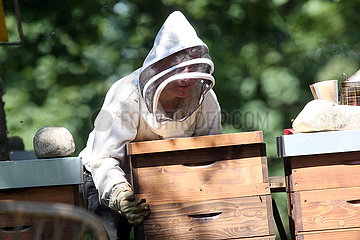Berlin  Deutschland  Imker hebt eine Bienenbeute an